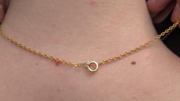Florida and Caribbean Seashell and Pearl Necklace - Image 9