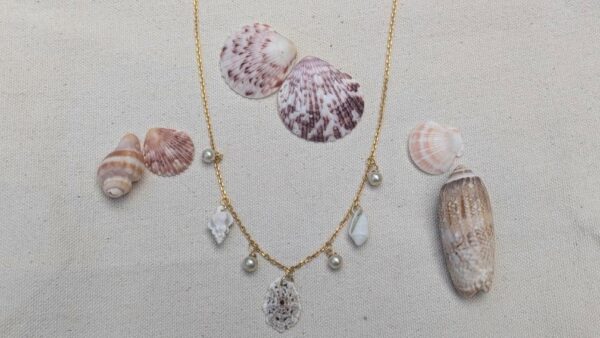 Oregon and Caribbean Seashell and Pearl Necklace - Image 5