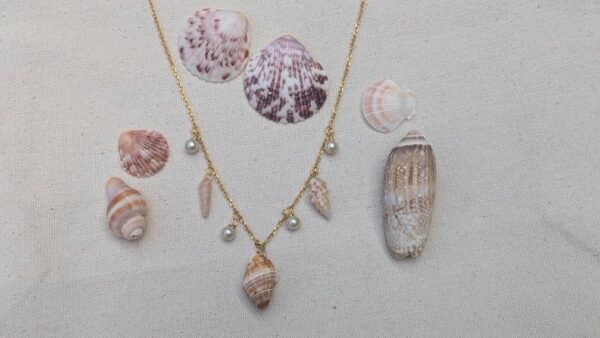 Florida and Caribbean Seashell and Pearl Necklace - Image 6