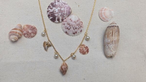 Florida Seashell and Pearl Necklace - Image 4