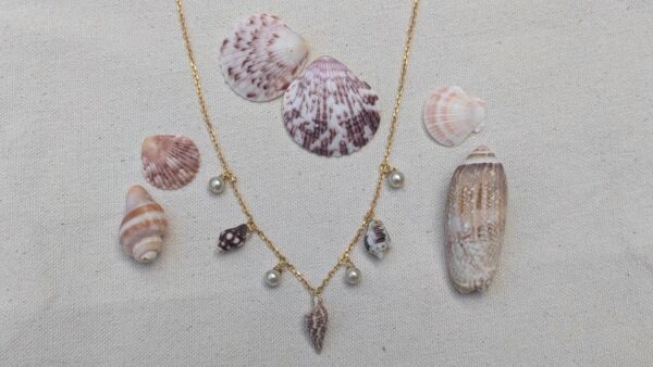 Caribbean Seashell and pearl necklace - Image 5